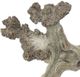 A & B Home Weathered Natural Branch Table Decor-1