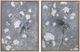 Bassett Mirror Birds & Blooms I Framed Print-2