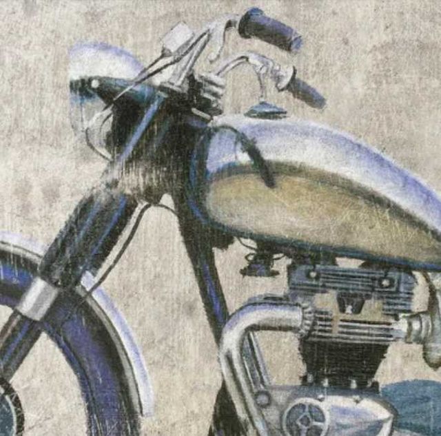 Stylecraft Born To Be Wild II Black/Beige Wall Art-1