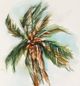 Stylecraft Brown/Dark Green Wall Art-1