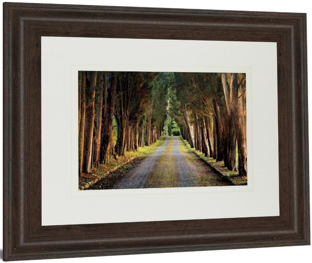 Classy Living Michael Tunnel Tree Tunnel Wall Art-3