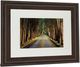 Classy Living Michael Tunnel Tree Tunnel Wall Art-3