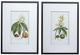 A & B Home 2-Piece Black/White Botanical Wall Art Set-1
