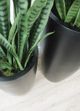Le Present Betona Organik Black 31" Planter-3