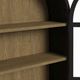 Elements International Taurus Flat Black Bookcase-5