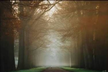 StyleCraft On My Way Wall Art-1