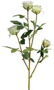 A & B Home Green/White Rose Spray-0