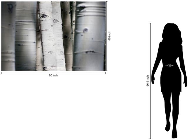 Classy Living Aspen Trunks Wall Art-2