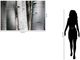 Classy Living Aspen Trunks Wall Art-2