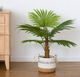 A & B Home Green Artificial Fan Palm Tree in Pot-3