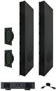 Sonance® R10SUB KIT Black Subwoofer System with DSP-0