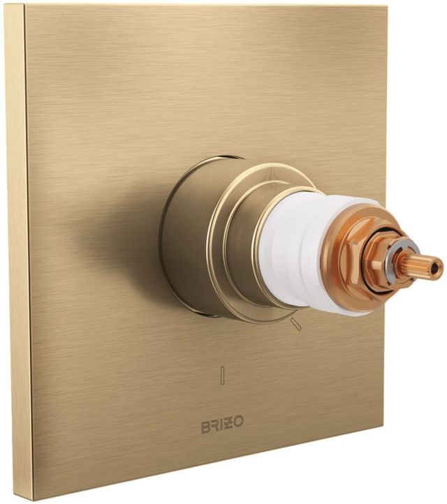 Brizo Frank Lloyd Wright® Brilliance® Luxe Gold® TempAssure® Thermostatic Valve Trim - Less Handles-0