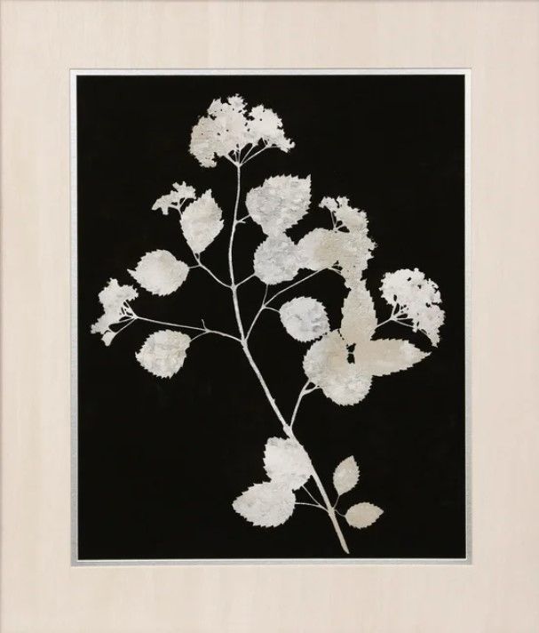 StyleCraft Nature White on Black IV Wall Art-1