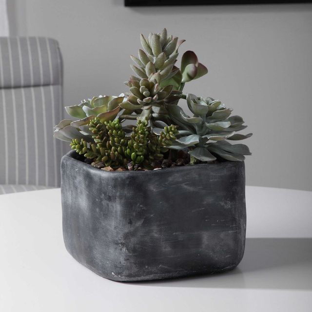 Uttermost® Alverio Charcoal Gray/Green Succulents-1