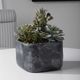 Uttermost® Alverio Charcoal Gray/Green Succulents-1