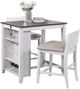Mazin Furniture Daye 3 Piece White and Grey Counter Height Set-0