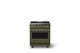 Viking® 5 Series 30" Martini Pro Style Dual Fuel (LP) Range with Brushed Brass Trim-0