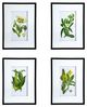 A & B Home 4-Piece Black/White Flower Wall Art Set-1
