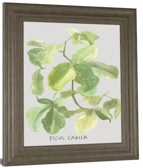 Classy Art Ficus Carica by Katrien Soeffers Wall Art-1