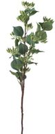 A & B Home Green Bodhi Fruit Spray-1