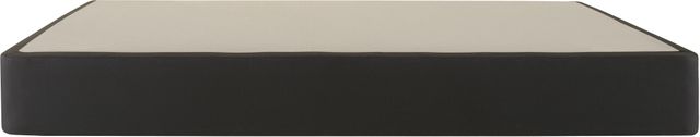Sealy® 9" Split Queen Standard Foundation, Includes 2 Pieces-1