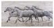 YHD Horses in the Wind Wall Art-0