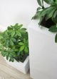 Le Present Baby Schefflera Green 20" Faux Botanical-4