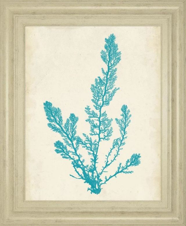 Classy Art Aquamarine Seaweed VI by Vision Studio Wall Art-0