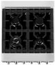 ZLINE 24" Stainless Steel Pro Style Dual Fuel Range-4