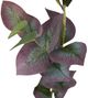 A & B Home Green Eucalyptus-2