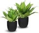 Le Present Agave Green 16" Faux Botanical-1