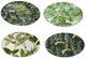A & B Home 4-Piece Black/Green Botanical Print Decorative Charger Plate Set-1