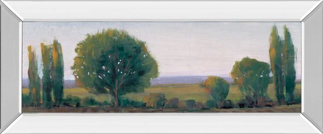 Classy Art Panoramic Treeline I by Tim Otoole Mirror Framed Wall Art-0