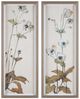 Uttermost® Garden 2-Piece Study Framed Floral Prints-0