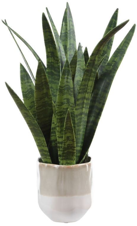 Uttermost® Sansera Snake Baige/Tan Accent Plant-4