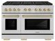 ZLINE Autograph Edition Paramount 48" 6.7 Cu. Ft. Satin Stainless Steel Dual Fuel Range with 8 Burner DuoPro™ Cooktop and Dual Ovens in Champagne Bronze Accents-0