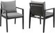 Armen Living Cayman 2-Piece Black/Gray Fabric/Metal/Rattan Outdoor Dining Arm Chair Set-0