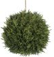 A & B Home Green Dia Cypress Hanging Ball-0