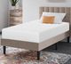Furniture of America® Artemisia 10" Memory Foam Plush Tight Top Queen Mattress-1