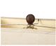 A & B Home Percival Crowned Table Lamp-2