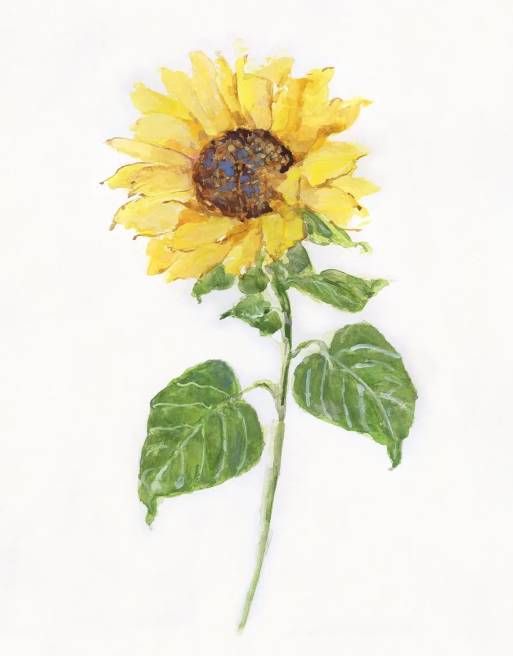 Classy Art Sunflower II by Sally Swatland Wall Art-1