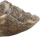 Dovetail Furniture Orvan Natural Bowl-5
