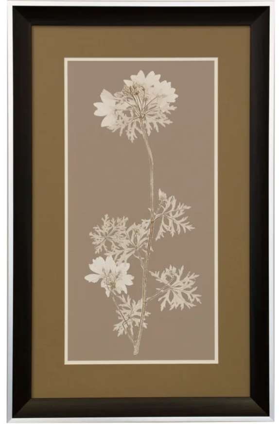 StyleCraft Natural Study Dark Brown/Taupe Wall Art-0