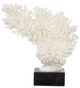 A & B Home White Coral Decorative Object-1