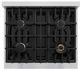 ZLINE Select 30" Stainless Steel Pro Style Dual Fuel Range-4