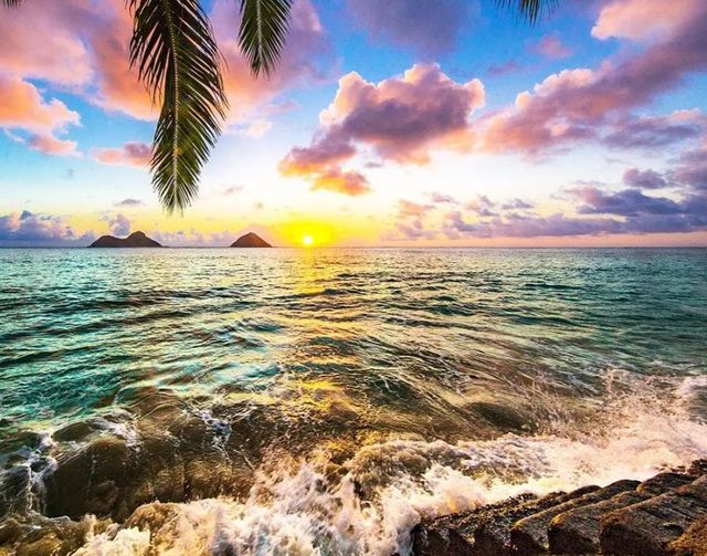 Classy Art Coastal Sunset Wall Art-1