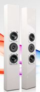 Totem Acoustics High-Fidelity In-Wall Speaker-2