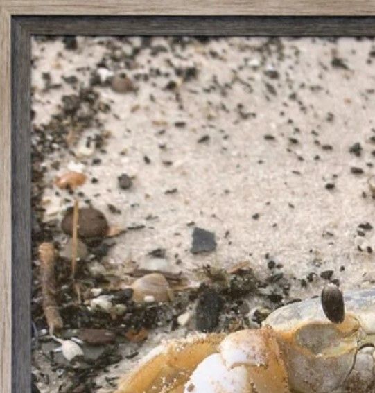 Stylecraft Beige/Dark Yellow Wall Art-1