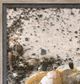Stylecraft Beige/Dark Yellow Wall Art-1