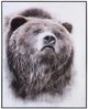 Crestview Collection Bear's Den Wall Art -0